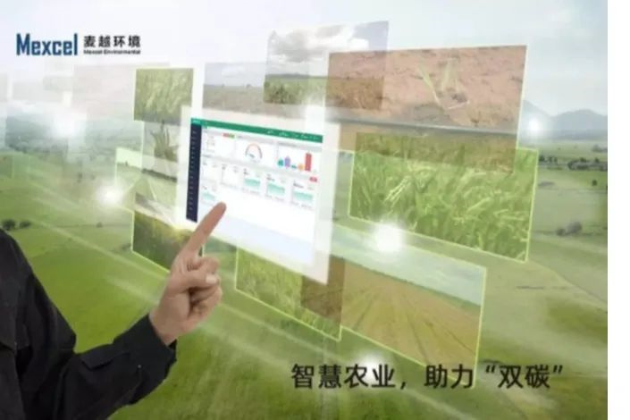 1722931766515276.jpg 1722931766515276